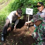 Anggota Bhabin Polsek Batu Bersama 3 Pilar Giat Penghijauan Untuk Melestarikan Hutan
