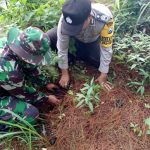 Melestarikan Hutan, Anggota Bhabin Polsek Batu Bersama 3 Pilar di Coban Rais