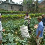 Sambang Kunjungi Potensi Pertanian Warga Bhabinkamtibmas Desa Pesanggrahaan Polsek Batu Kota