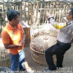 Patroli Hanting Sambang Kunjungan Potensi Ternak Ayam Bhabinkamtibmas Songgokerto Polsek Batu Sampaikan Pesan Kamtibmas