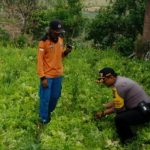 Giat Sambang Silaturahmi Kamtibmas dan Giat Blusukan Kamtibmas Kepada Petani Sayur Bhabinkamtibmas Kelurahan Temas Polsek Batu dan berikan Binluh pelaksanaan Pilpres 2019