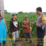Sambangi Petani Jagung Manis , anggota Bhabinkamtibmas Kelurahan Temas Polsek Batu Kota Polres Batu Jaga Sinergitas