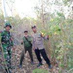 Sinergitas Polres Kediri Kota Bersama TNI dan Perhutani Lakukan Patroli Cegah Karhutla