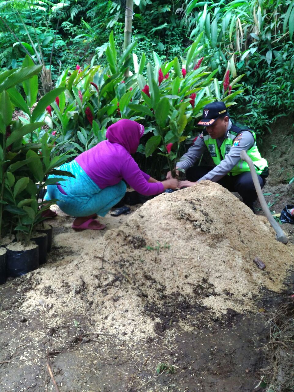 Anggota Bhabinkamtibmas Desa Sidodadi Polsek Ngantang Polres Batu belajar cara menanam bibit tanaman hias