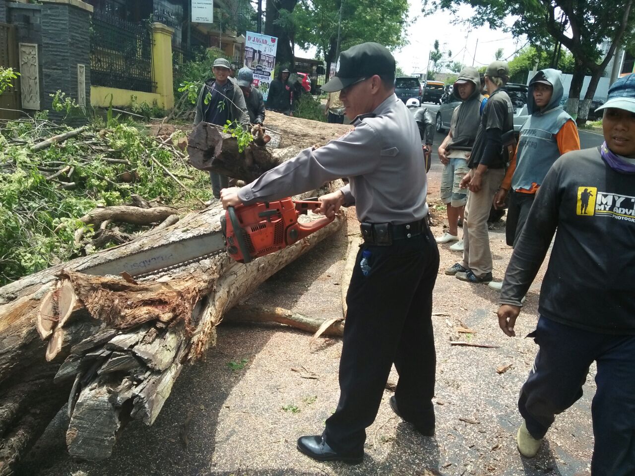 Kanit Sabhara Polsek Junrejo Polres Batu Pengamanan Penebangan Pohon  Guna Pelebaran Jalan