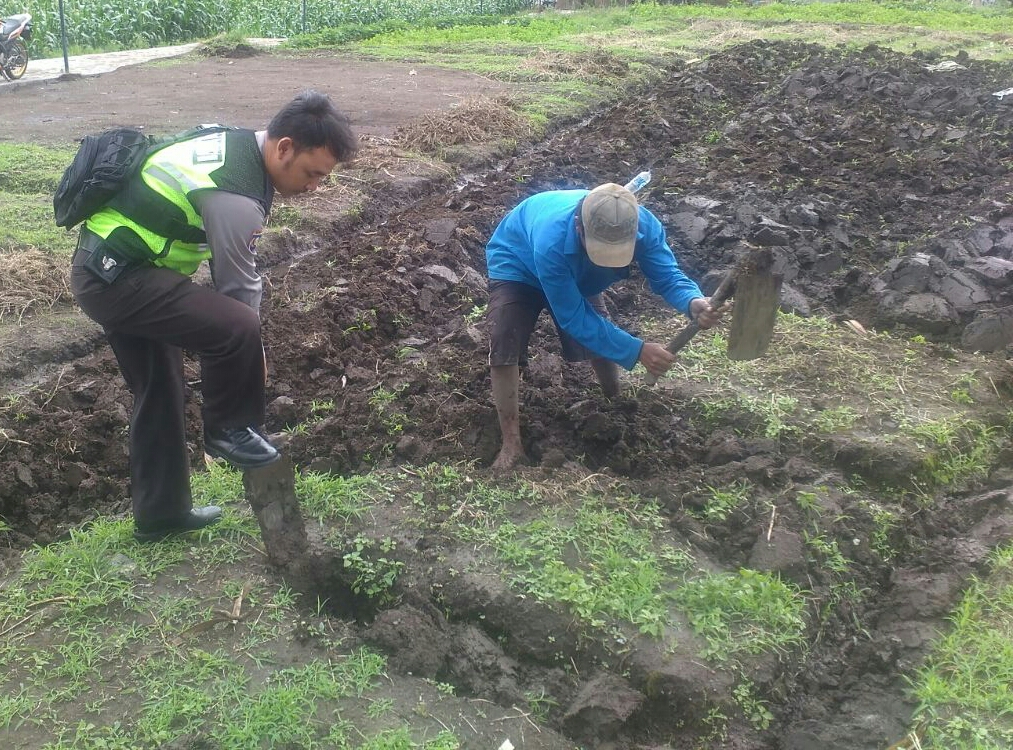 Tingkatkan Kemitraan dengan masyarakat  Brigadir Ari Bhabinkamtibmas Polsek Batu Polres Batu Sambangi Petani kentang