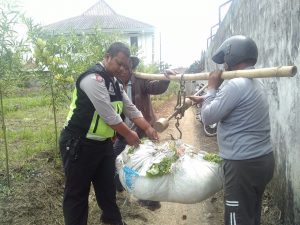 Dekat Dengan Warga, Kanit Binmas Polsek Batu Polres Batu Sambang warga binaan sebagai petani Sayur 