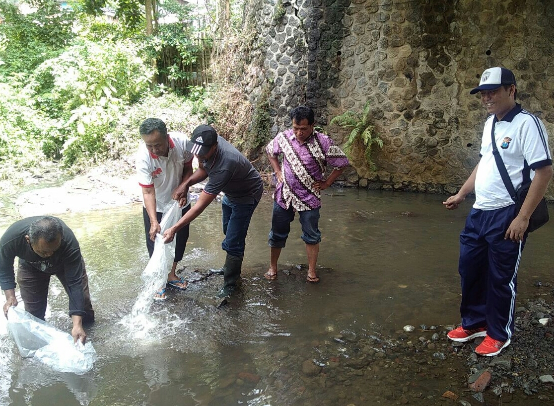 Guna menjaga Ekosistem Sungai, Bhabinkamtibmas Sumberejo Polsek Batu Polres Batu Bersama Elemen Masyarakat Tebar Benih Ikan