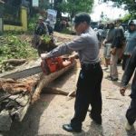 Polsek Junrejo Polres Batu Lakukan Pengamanan Penebangan Pohon di Junrejo Guna Kelancaran Arus Lalin