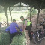 Bripka Eko Harianto Bhabin Desa Pesanggrahan Polsek Batu Kota Polres Batu melaksanakan kemitraan dengan Pedagang Sayur