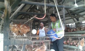 Bhabinkamtibmas Polsek Kasembon Polres Batu Giat Sambang ke Peternak Ayam di Kasembon Guna Antisipasi Modus Penipuan