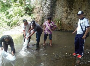 Anggota Bhabin Polsek Batu Polres Batu Giatkan Tebar Benih Ikan Bersama Elemet Masyarakat Untuk Melestarikan Ikan Di Sungai