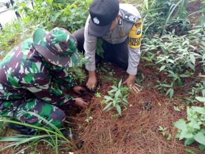 Anggota Bhabinkamtibmas Polsek Batu Giatkan Pelestarian Hutan di Coban Rais