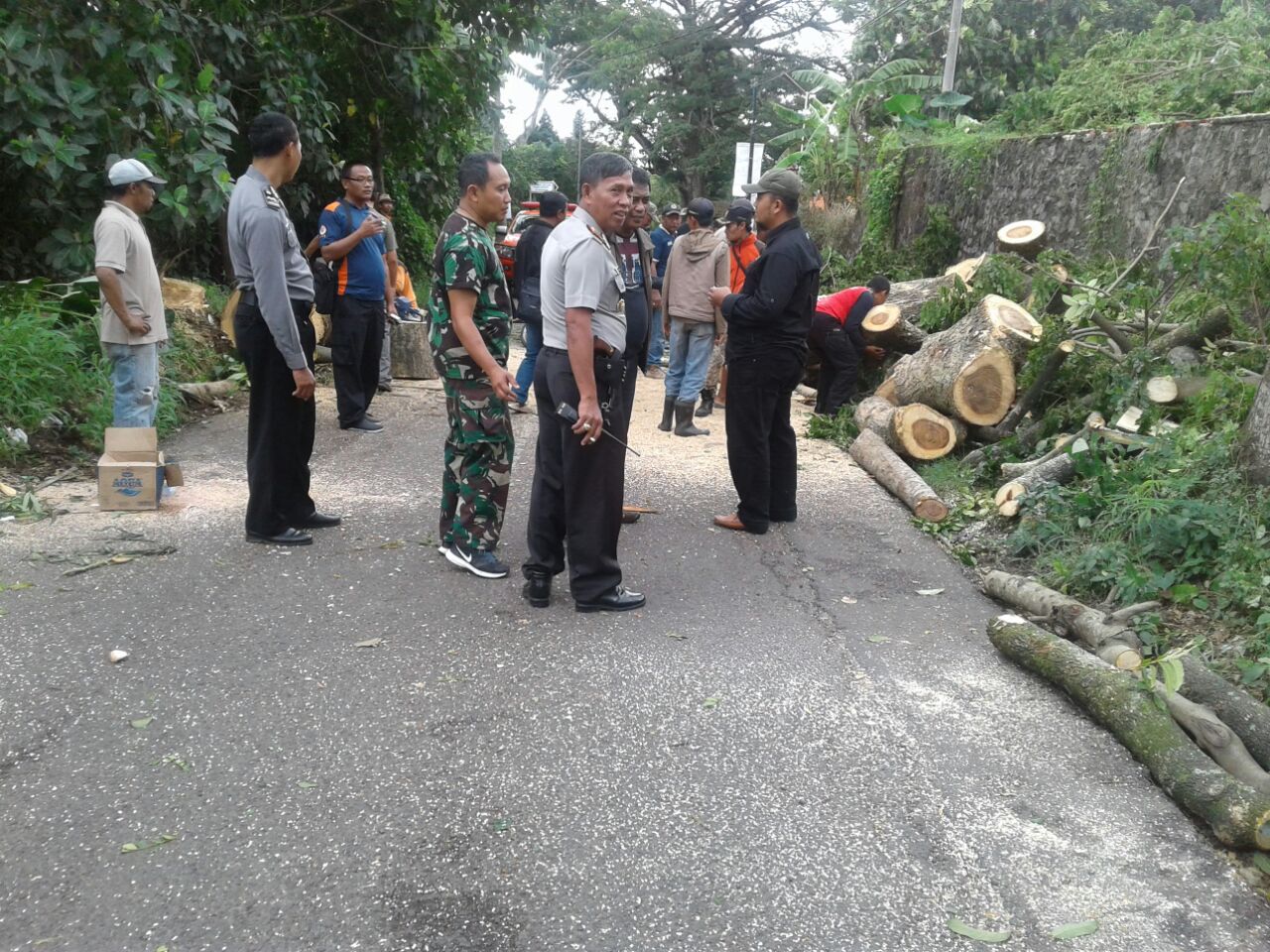 Polsek Junrejo Polres Batu Bersama Anggota Melaksanakan Pengamanan Pohon Tumbang