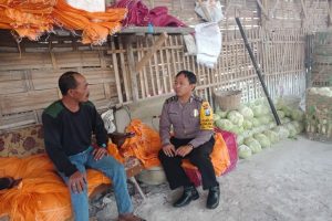 Anggota Bhabinkamtibmas Giat Silaturahmi Kepada Warga, Sambang Ke Gudang Sayur Bhabinkamtibmas Kelurahan Temas Polsek Batu Kota Polres Batu Sampaikan Pesan Kamtibmas