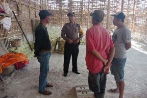 Sambang Usaha Warga Di Gudang Sayur Bhabinkamtibmas Kelurahan Temas Polsek Batu Polres Batu serap aspirasi warga dalam rangka Harkamtibmas