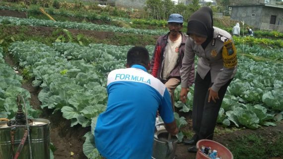 Bhabinkamtibmas Tatap Muka DDS Warga, Sinergi Masyarakat Tani Bhabin Desa Pesanggrahaan Polsek Batu Polres Batu Titipkan Pesan Kamtibmas