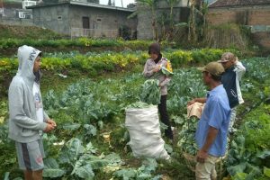 Sambang Kunjungi Potensi Pertanian Warga Bhabinkamtibmas Desa Pesanggrahaan Polsek Batu Kota