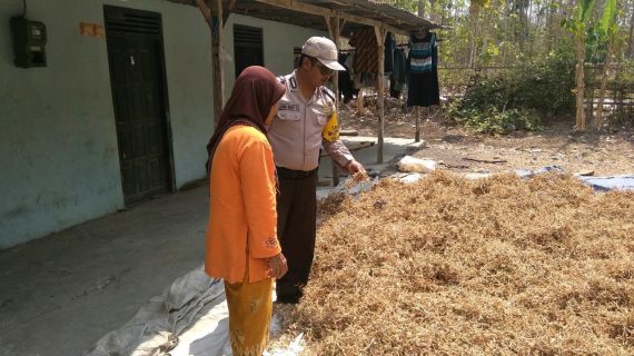 Giat Tatap Muka, Sambang Desa Warga Yang Panen Kedelai Bhabin Kelurahan Songgokerto Polsek Batu Serap Informasi Kamtibmas