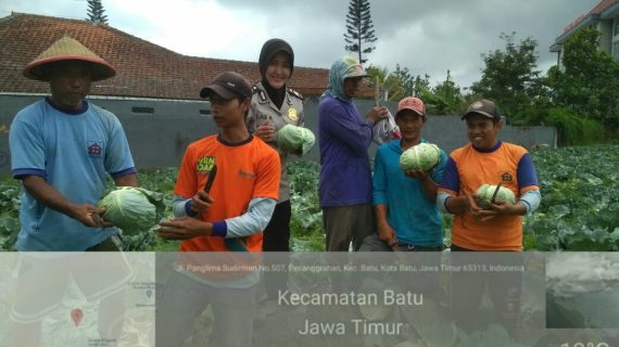 Bhabinkamtibmas Desa Pesanggrahan Polsek Batu Kota Polres Batu Sambang Petani Sayur