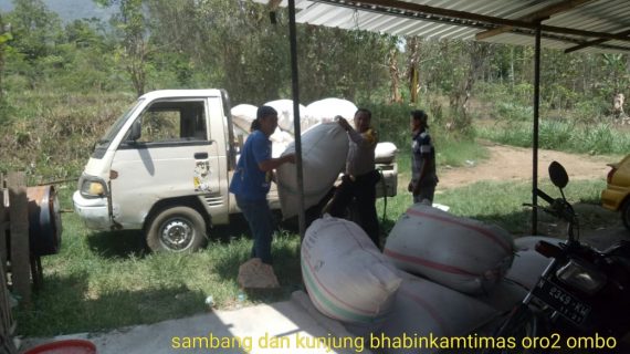 Bhabinkamtibmas Desa Oro Oro Ombo Polsek Batu Kota Polres Batu Sambang Usaha Pakan Ternak