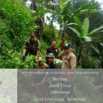 Anggota Bhabinkamtibmas Desa Punten Polsek Bumiaji bergabung dengan Polhut, laksanakan giat tanam pohon
