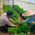 DDS Kerukunan Pedagang Bunga Oleh Bhabinkamtibmas Desa Sidomulyo Polsek Batu Kota Polres Batu