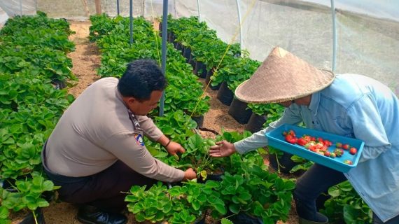 DDS Kerukunan Pedagang Bunga Oleh Bhabinkamtibmas Desa Sidomulyo Polsek Batu Kota Polres Batu