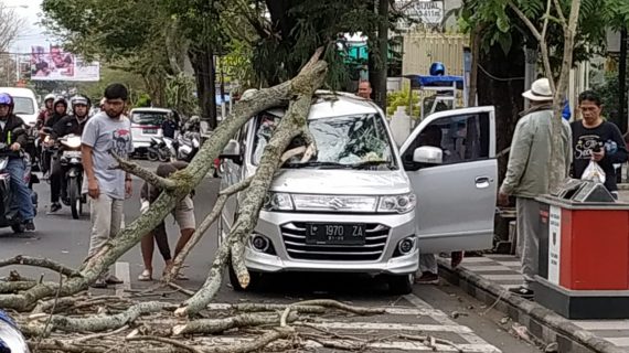 Mobil parkir depan ATM mandiri Ranting Pohon yang Sudah mati