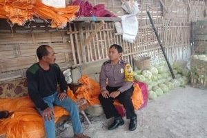 Polres Batu Kegiatan Rutin. Anggota Bhabinkamtibmas Giat Silaturahmi Ke Warga, Sambang Ke Gudang Sayur Bhabinkamtibmas Kelurahan Temas Polsek Batu Kota Polres Batu Sampaikan Pesan Kamtibmas