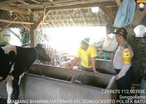 Pelayanan Kepada Masyarakat oleh Polres Batu. Sambang Pagi Kunjungan Potensi Ternak Bhabin Kelurahan Songgokerto Polsek Batu