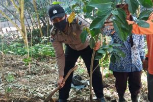Giat Tanam Pohon Bhabinkamtibmas Desa Pesanggrahan Polsek Batu