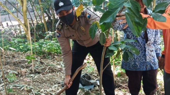 Giat Tanam Pohon Bhabinkamtibmas Desa Pesanggrahan Polsek Batu