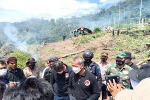 Polri Musnahkan 7 Hektare Ladang Ganja Di Gunung Lauser Dan Sita 592 Kg Ganja Kering