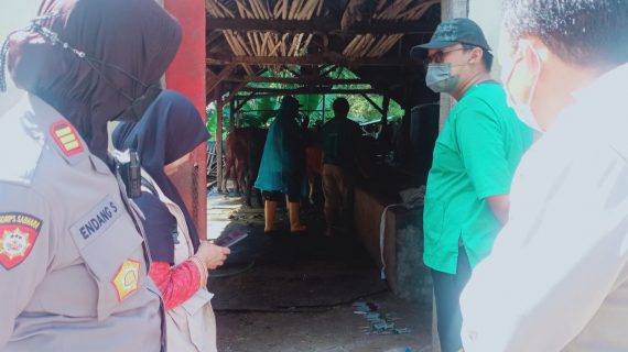 Antisipasi Maraknya PMK, Polres Batu Ambil Langkah-Langkah Ini