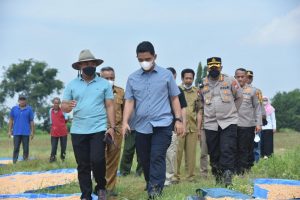 Kakorbinmas Studi Banding Tanam Jagung untuk Petani Papua