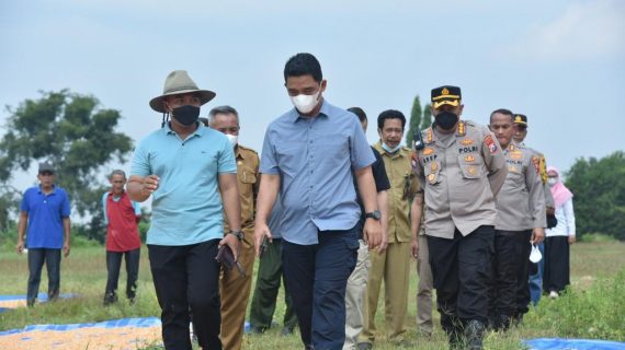 Kakorbinmas Studi Banding Tanam Jagung untuk Petani Papua