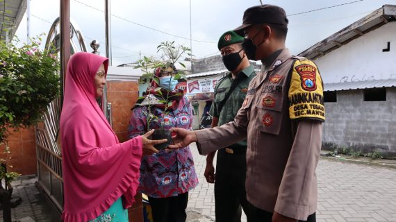 Harga Cabai Meroket, Polisi di Gresik Berikan Bantuan Bibit Cabai untuk Warga