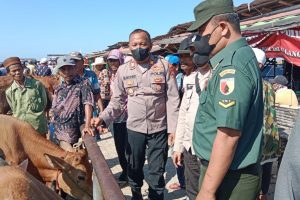 Cegah PMK Polres Sampang Bersama Pukeswan Periksa Hewan Ternak
