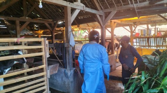 Polsek Ngantang Bersama KUD Sumber Makmur Lakukan Penyemprotan Disenfektan Kandang Hewan Ternak