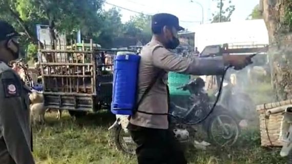Bersama Dinas Pertanian, Polres Ponorogo Gelar Penyemprotan Cegah Penyebaran PMK