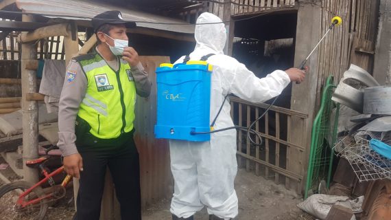 Cegah Wabah PMK, Polres Batu Gencarkan Penyemprotan Disinfektan