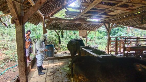 Redam PMK, Bhabinkamtibmas Wonoagung Kasembon Lakukan Penyemprotan Disinfektan di Kandang Milik Warga