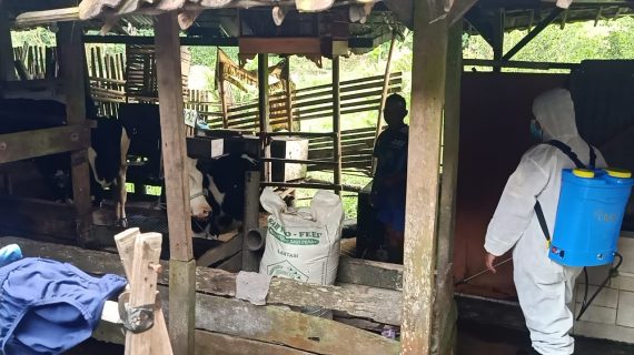 Polsek Pujon Laksanakan Giat Penyemprotan Disinfektan