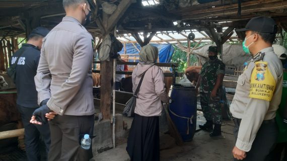 Percepat Vaksinasi PMK, Tim Vaksinator Polres Batu Diterjunkan di Seluruh Wilayah