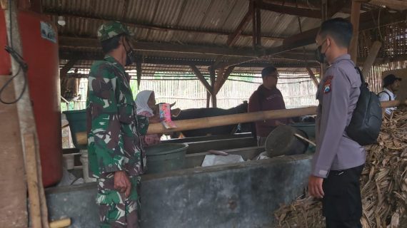 Basmi PMK, Polsek Junrejo dan Tim Vaksinator Datangi Desa Junrejo