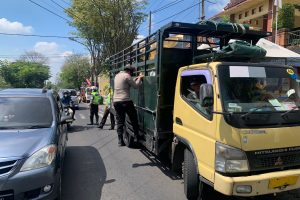 Terus Waspada Wabah PMK, Petugas Polsek Bumiaji Lakukan Pemeriksaan SKKH Pada Kendaraan Pengangkut Hewan Ternak