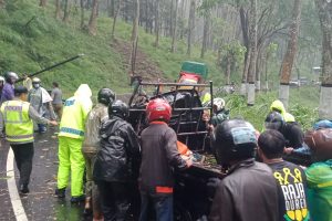 Gerak Cepat Polsek Ngantang Datangi TKP Pohon Tumbang
