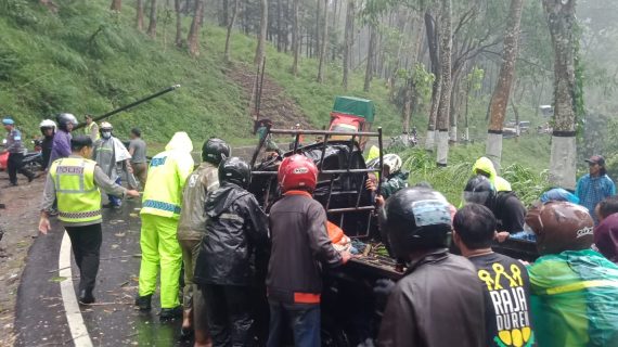 Gerak Cepat Polsek Ngantang Datangi TKP Pohon Tumbang