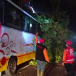 Respon Cepat Polres Batu Evakuasi Pohon Tumbang